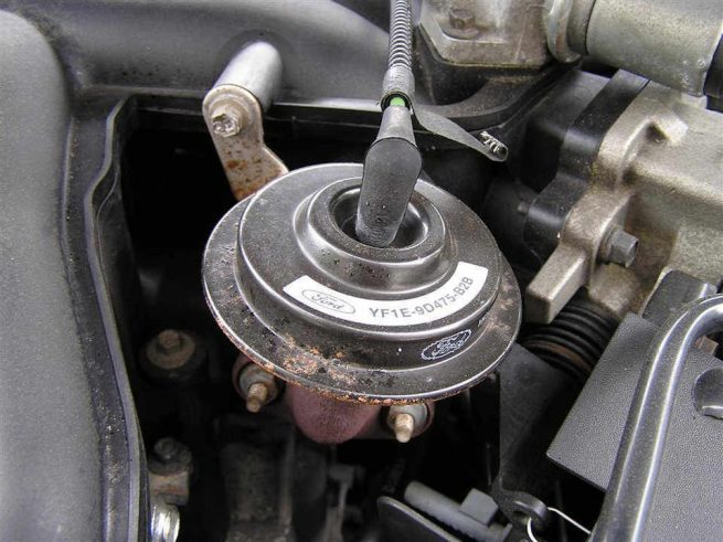 egr-1